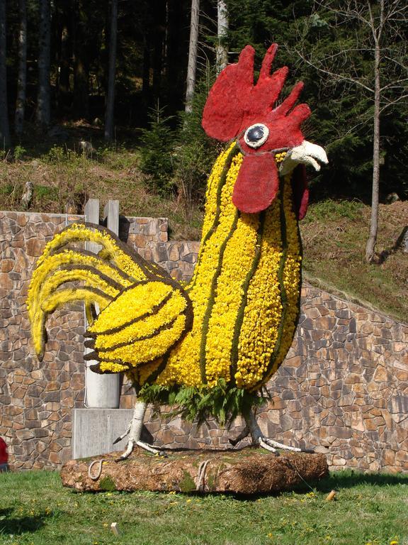 Les Brimbelles Apartment Gerardmer Ngoại thất bức ảnh